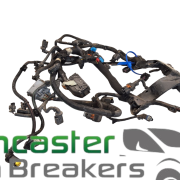 PEUGEOT BOXER/RELAY DW10 2.0 2017 ENGINE WIRING LOOM 9828428880