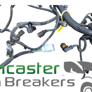 PEUGEOT BOXER / RELAY 2019 2.0 DW10 ENGINE BAY WIRING LOOM 9807761480